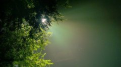 北美極端高溫天氣是因為“熱穹頂”？
